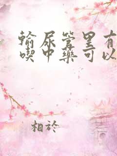 输尿管里有结石吃中药可以排出吗