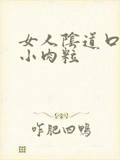 女人阴道口内有小肉粒