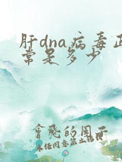 肝dna病毒正常是多少