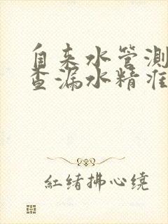 自来水管测漏水查漏水精准定位