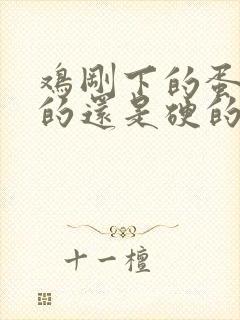 鸡刚下的蛋是软的还是硬的