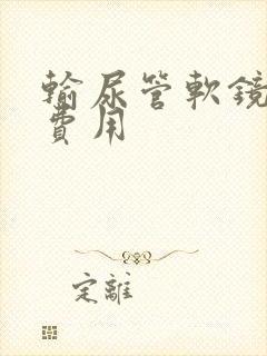 输尿管软镜取石费用