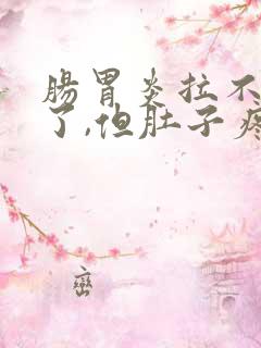 肠胃炎拉不出来了,但肚子疼