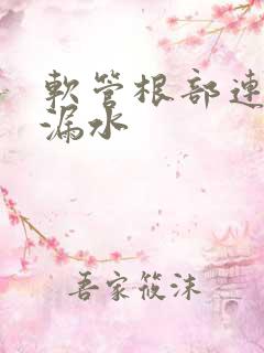 软管根部连接处漏水