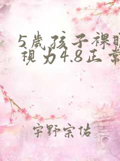 5岁孩子裸眼远视力4.8正常吗