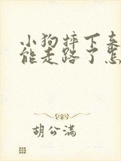 小狗摔下来腿不能走路了怎么回事