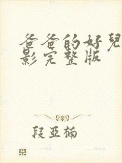 爸爸的好儿子电影完整版