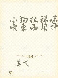 小狗拉稀呕吐不吃东西用什么药