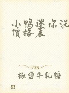 小鸭迷你洗衣机价格表