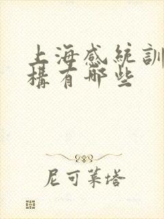 上海感统训练机构有哪些