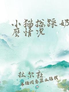 小猫总踩奶是什么情况