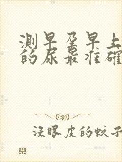 测早孕早上几点的尿最准确