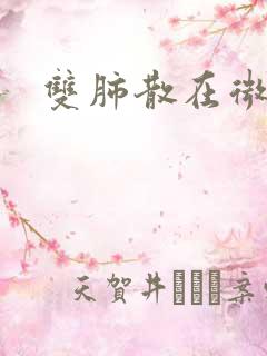 双肺散在微结节