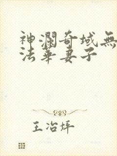 神澜奇域无双珠法华妻子