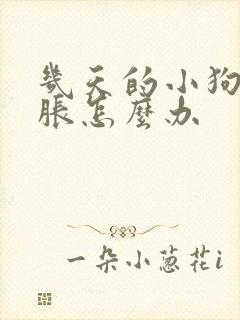 几天的小狗肚子胀怎么办