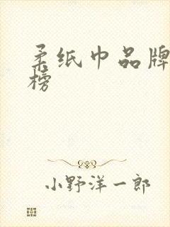 柔纸巾品牌排行榜