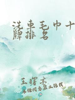 洗车毛巾十大名牌排名