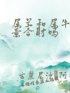 属羊和属牛做生意合财吗