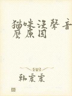 猫咪没声音了什么原因