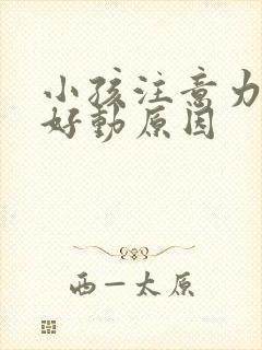 小孩注意力集中好动原因