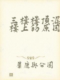 三楼楼顶漏水是楼上的原因吗