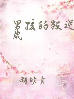 男孩的叛逆期几岁