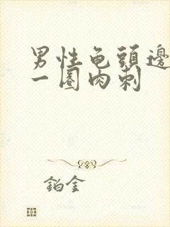 男性龟头边缘有一圈肉刺