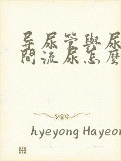 导尿管与尿道之间流尿怎么办