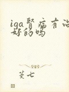 iga肾病有治好的吗