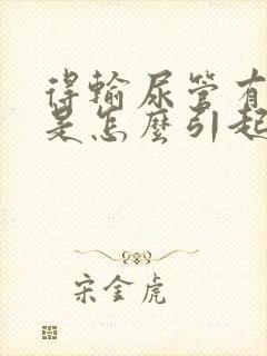 得输尿管有结石是怎么引起的