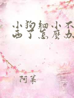 小狗细小不吃东西了怎么办