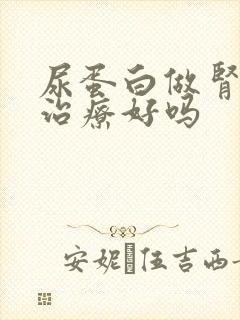 尿蛋白做肾可以治疗好吗