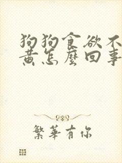 狗狗食欲不振尿黄怎么回事