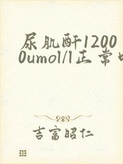 尿肌酐12000umol/l正常吗