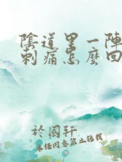 阴道里一阵一阵刺痛怎么回事