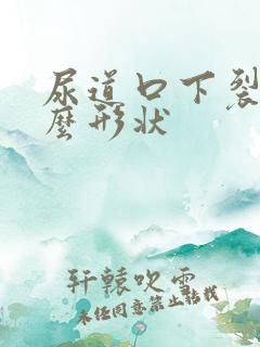 尿道口下裂是什么形状