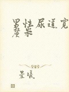 男性尿道宽多少厘米