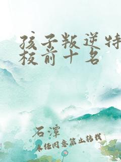 孩子叛逆特训学校前十名