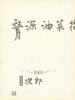 婺源 油菜花几月