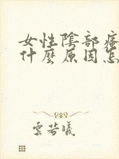 女性阴部瘙痒是什么原因怎么办