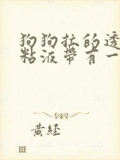 狗狗拉的透明的粘液带有一点点血