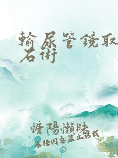 输尿管镜取石碎石术