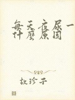 每天夜尿一次是什么原因