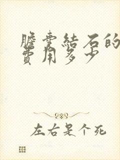 胆囊结石的手术费用多少