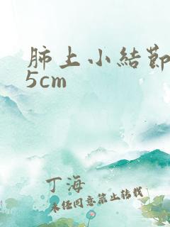 肺上小结节0.5cm