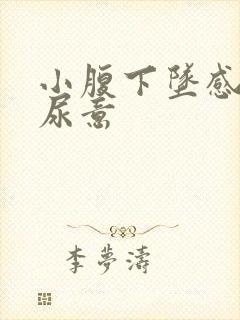 小腹下坠感总有尿意