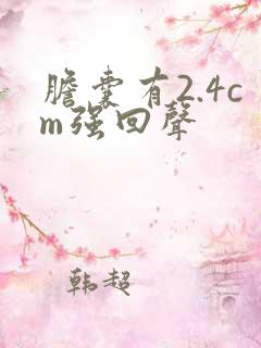 胆囊有2.4cm强回声