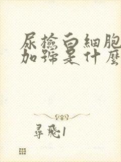 尿检白细胞3个加号是什么意思