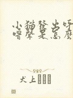 小猫发出呼噜呼噜声是怎么回事?