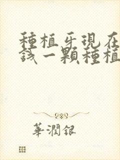 种植牙现在多少钱一颗种植的牙